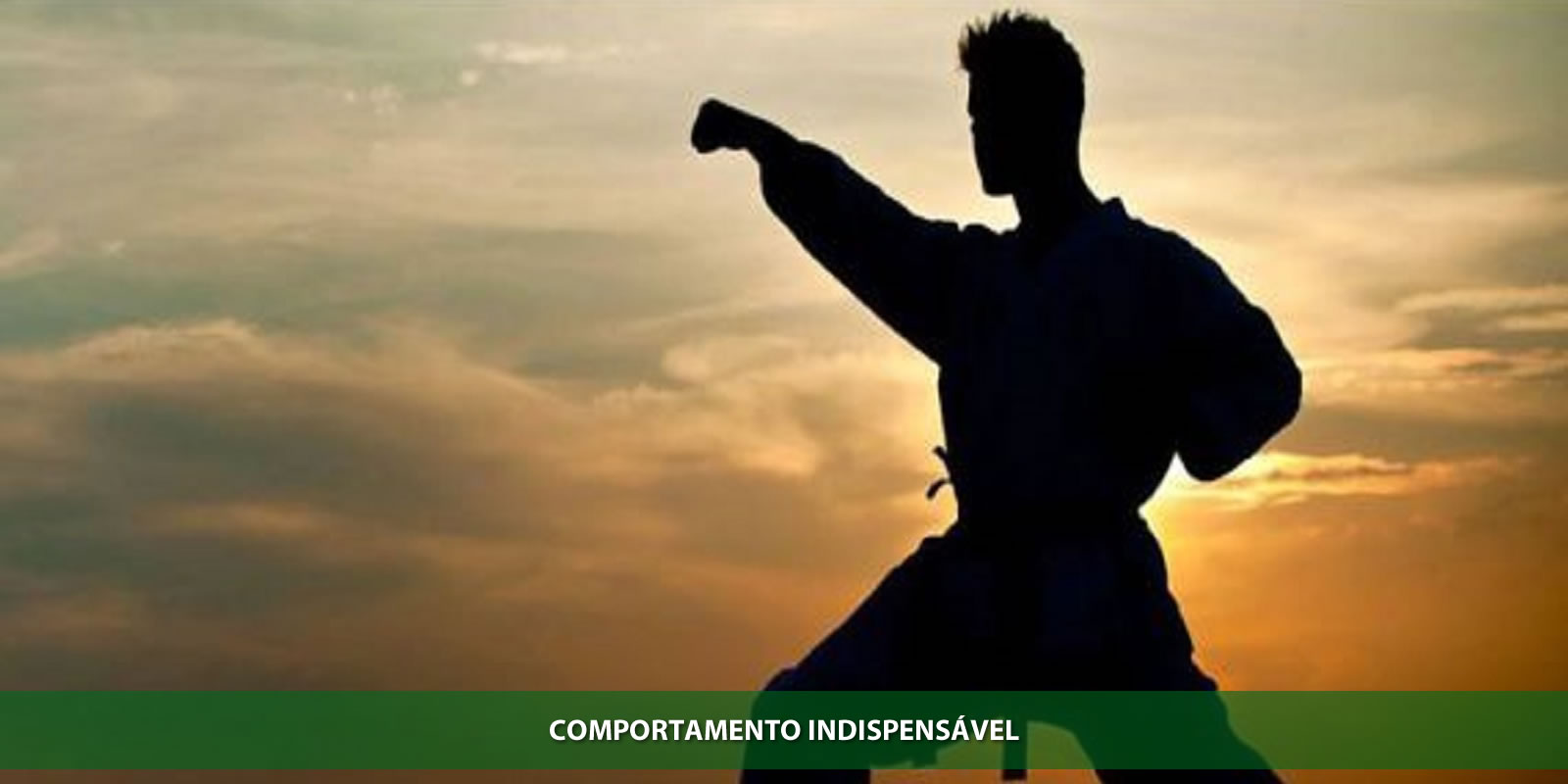 Figura 2 - DISCIPLINA. CONTROLE ACIMA DA VONTADE